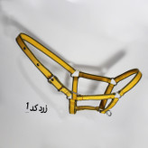 سرآخور گردان دار